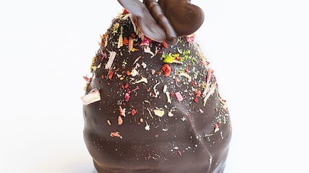 デンマーク発のチョコレートブランド「サマーバード オーガニック」南青山にオープン！