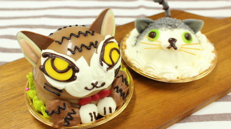 The cute "cat cake shop" is a hot topic! There is also a cat Dayan