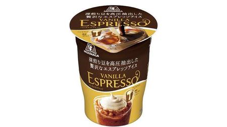 Luxury espresso ice cream with coffee float--bittersweet adult taste