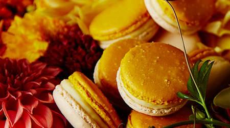 Two Afternoon Teas in Collaboration with "Pierre Herme Paris"-The Ritz-Carlton, Osaka