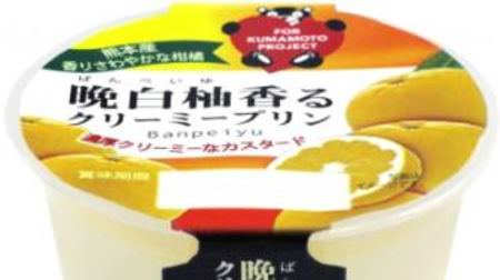Kumamoto's citrus "Banpeiyu" becomes a pudding and goes all over the country! --Refreshing and refreshing taste