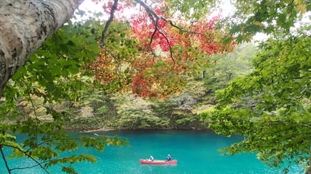 What a fantastic ...! "Japan's No. 1 Morning Canoe" where you can enjoy morning tea on the lake, at Lake Shikotsu, Hokkaido