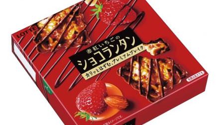"Petite luxury sweets" chocolate lantern with "red-red strawberry"-sweet and sour strawberry chips