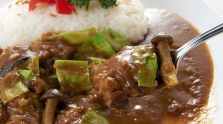 "All-you-can-eat curry lunch" at Thirty Curry Daikanyama--I like rice, salad and toppings!