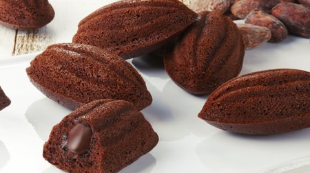 The shape of the colon and cacao is cute! "Cacao Cake of the Earth", from Terra Saison--Smoothly outside, inside