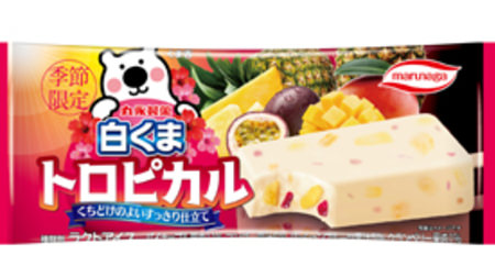 Tropical polar bear ice cream! Mango x passion fruit "Shirokuma Tropical"
