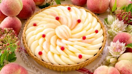 Attention to peach lovers! "2017 Peach Week!" At Kirfebon--A lineup of gorgeous peach tarts