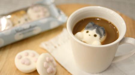 It's a marshmallow ♪ Yawahada x Cat Cafe MoCHA "Mocamaro"-Even if you float it on a drink