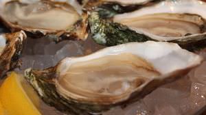牡蠣はワインやコーヒーに似ている -- オイスターバー「オストレア」に聞く牡蠣の魅力