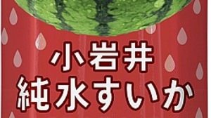 Introducing "Koiwai Pure Watermelon" with a squid taste in the "Koiwai Pure Watermelon Juice" series