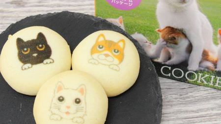 Tokyo Limited Edition "Tokyo Cookies (Chocolate Flavor)" - All about cats, inside and out! Recommended as a Tokyo souvenir for cat lovers!