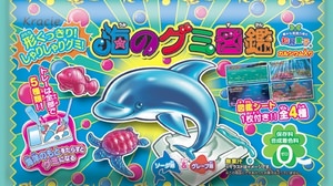 Released "Sea Gummy Picture Book" that allows you to make "sea creatures" type gummy candy, such as dolphins and crione