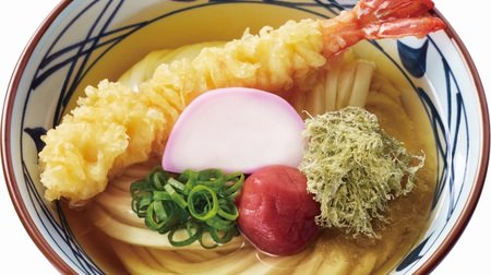 Kitter! "Fukuyori Oebi Ten Udon" with large shrimp on Marugame Seimen--also "Hamaguri Udon" limited to the year-end and New Year holidays