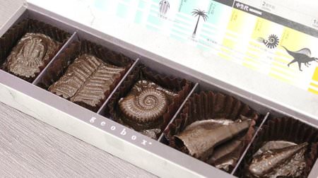 Real! "Fossil chocolate" molded from real fossils--also for Valentine's gifts
