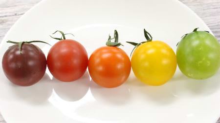 Fruit tomatoes for comparison! Noble Violet, Premium Ruby, Sophia Orange, Shining Yellow, Emerald