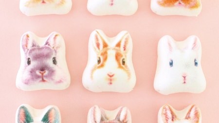 Japanese-style marshmallow "Rabbit Hozui" is too cute to eat! Inside is sweet chocolate bean paste