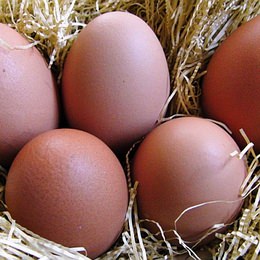 あなたの知らない卵の秘密 -- 日本人1人あたりの卵の消費量は世界何位？