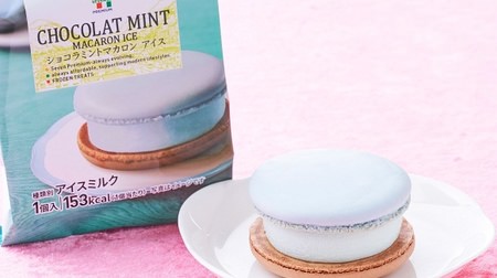 7-ELEVEN macaron ice cream with "chocolate mint" and "mixed berries"-bicolor is cute!