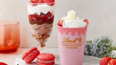 "Strawberry" drinks, parfaits and macaroons at the Linz Cafe! A combination of mellow chocolate and sweet and sour strawberries