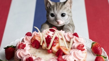 Strawberries and cats are too cute! Hilton Tokyo Dessert Fair "Strawberry CATS Collection"-Set in the City of Paris
