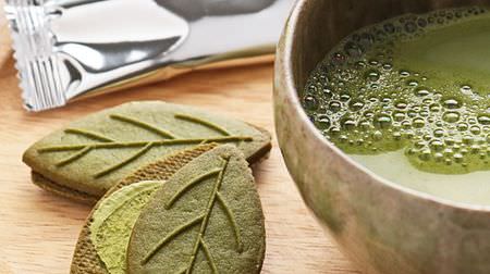 [First] Check out 10 of KALDI's "Matcha products" at once! --"Matcha leaf cookies" and "Matcha donuts" etc.