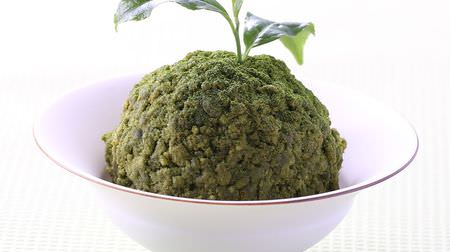 This is Moe! Matcha sweets like moss balls "moss balls" are irresistibly cute--100 sets limited sale