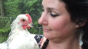 Pet chickens drink their owner's piercings-the piercings seem to be used for digestion