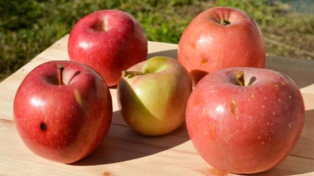 無印で生のフルーツ買えるよ！まずワケアリ果実集めた「不揃いりんご」全国30店舗に