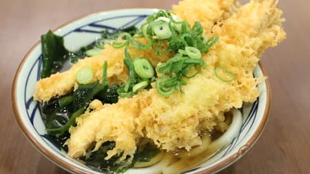 【実食】丼から相当はみ出てる！丸亀製麺「寿 大海老うどん」