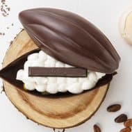 カカオポッド型ケーキ「キットカット ショコラトリー カカオフルーツ デセール」1日限定10食、銀座本店に