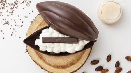 カカオポッド型ケーキ「キットカット ショコラトリー カカオフルーツ デセール」1日限定10食、銀座本店に