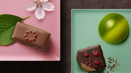 Godiva department store limited Valentine chocolate summary! "Four Seasons Cacao Journey" representing the four seasons of Japan