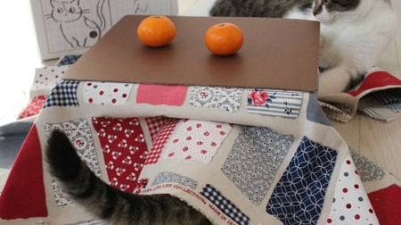 Mandarin with kotatsu for cats "Cat, kotatsu, and memory mandarin"-Cardboard kotatsu for cats is included in the set