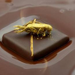 コオロギがのった高級チョコレートはいかが？ フランスのショコラティエが制作
