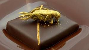 How about high-quality chocolate with crickets? Produced by French chocolatier