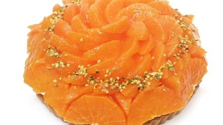 カフェコムサに「オレンジの日」記念限定ケーキ！ ― 「せとか」「清見オレンジ」などふんだんに