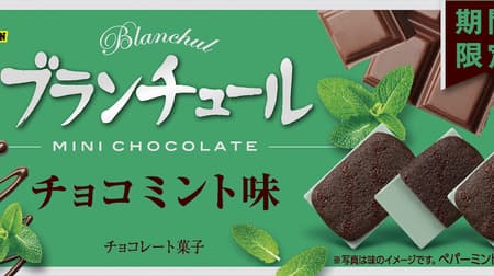 Check out all 3 Bourbon chocolate mint sweets! --Blancure, Paquila, etc.