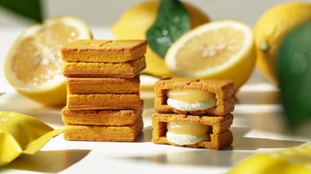 PRESS BUTTER SAND「バターサンド〈檸檬〉」期間限定で全国展開！ -- 瀬戸内レモンが使われた中四国限定フレーバー