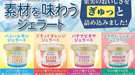Seijo Ishii's new ice cream "Gelato to taste the ingredients" looks delicious! 4 types including "Blood Orange" with 150% fruit juice