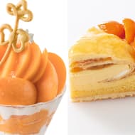 新宿高野に生で食べるあんず「ハーコット」のパフェ＆ケーキ！ -- タカノフルーツパーラーなどに登場