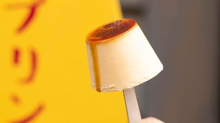 "Atami pudding" becomes cool ice cream! --Nationwide mail order of "Atami pudding ice cream" started