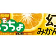 熊本県五木村産くねぶ果汁使用「ぷっちょ 幻のみかん」 -- 自然な甘さと爽やかな香り