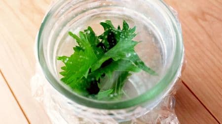 How to refrigerate and freeze perilla! Use an empty jar or kitchen paper to keep it fresh for a long time. If you want to freeze it, cut it into small pieces.
