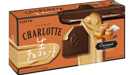 Adult raw chocolate "Charlotte raw chocolate [cacao]" Hazelnut scented rich taste
