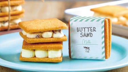 Autumn limited "milk milky butter sand" fresh cream specialty store From milk for a limited time