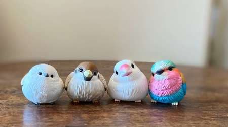 Cute! All 8 types of "Tenori Friends", a toy of "Kotori" such as long-tailed tit and Java sparrow