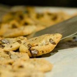 ニュージーランドのクッキー専門店「クッキータイム」が東京・原宿にオープン！
