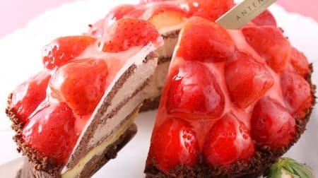 アンテノール「苺フェスタ」 西日本はあまおう・関東は紅ほっぺを使ったいちごづくしのケーキ満載！