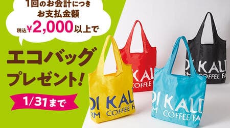 You can get all the KALDI eco bags! 4 colors can be folded compactly