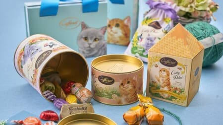 Cat lovers attention "Caffarel Catty Dolce" Cat design Popular chocolate in cans and pouches